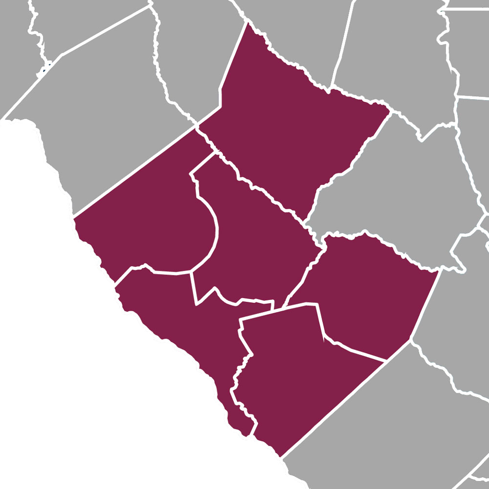 Counties that Make Up the Upper Savannah Council of Governments Region